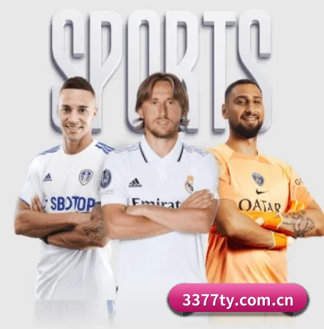 3377体育网站 APP 界面