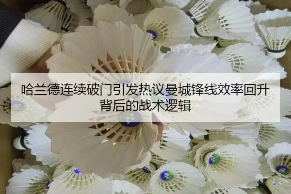 img_1789652600926_790_0_101.jpg